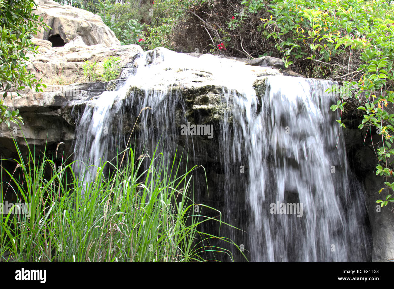 Caduta di acqua messico zacatecas Foto Stock