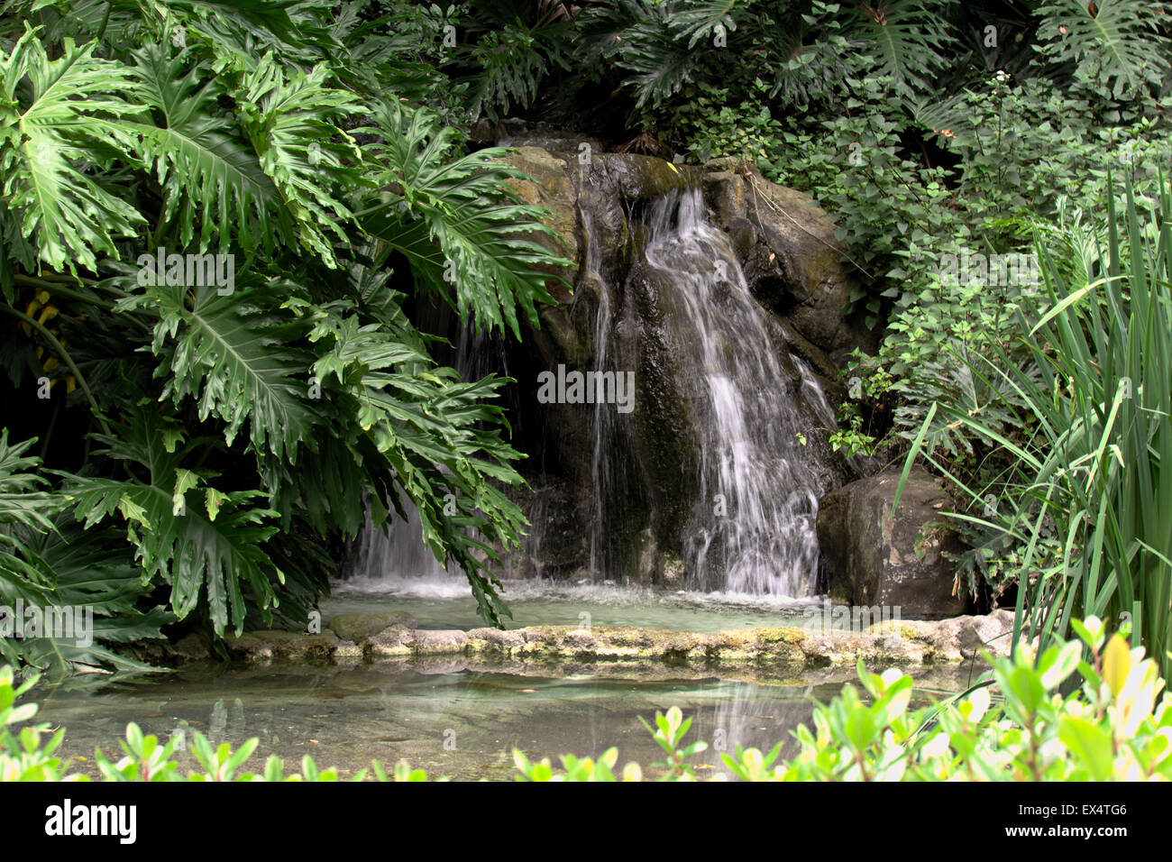 Acqua caduta in Messico zacatecas Foto Stock