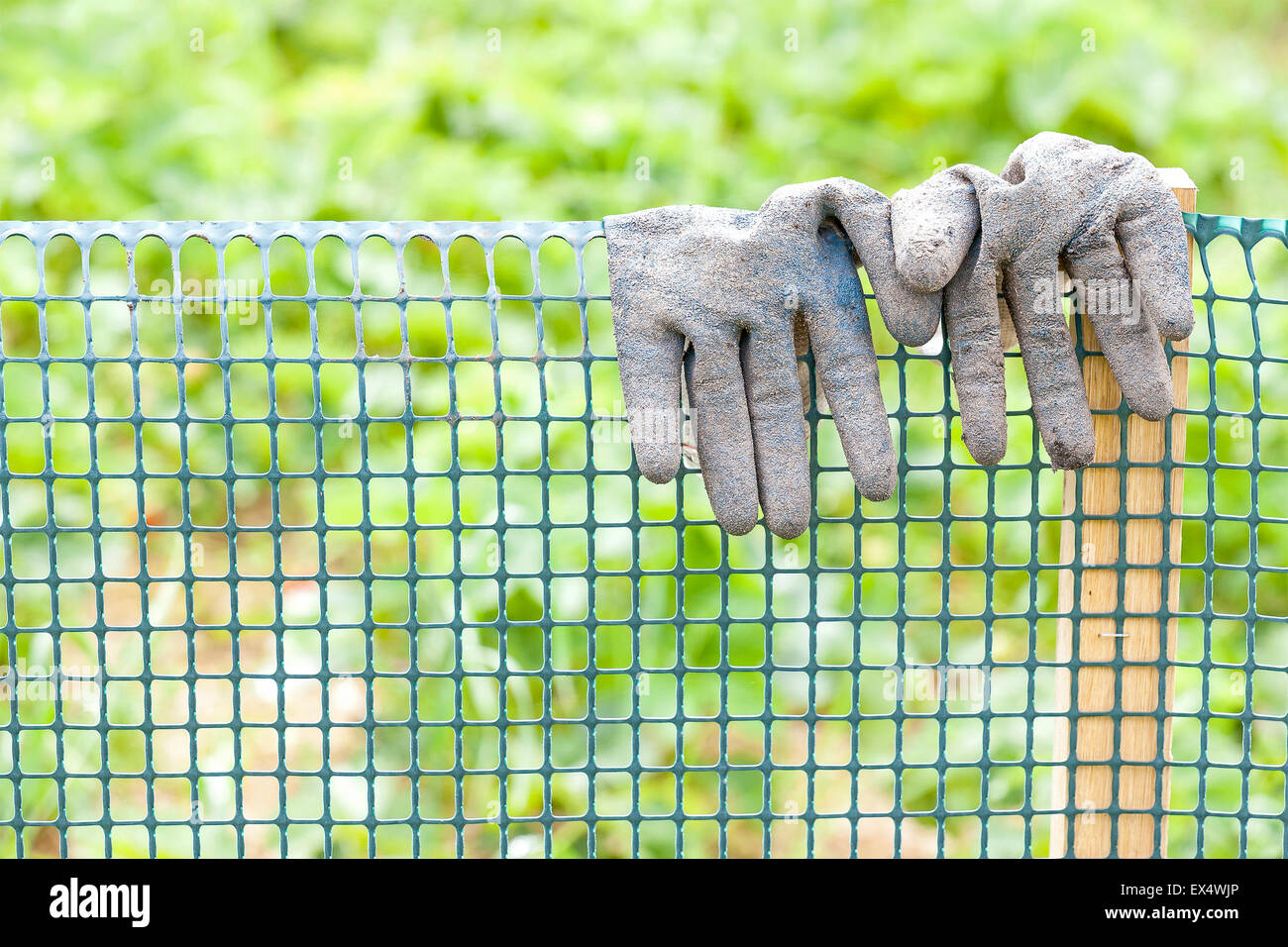 Sporco guanti da giardino su una recinzione in plastica, concetto di giardinaggio, profondità di campo. Foto Stock