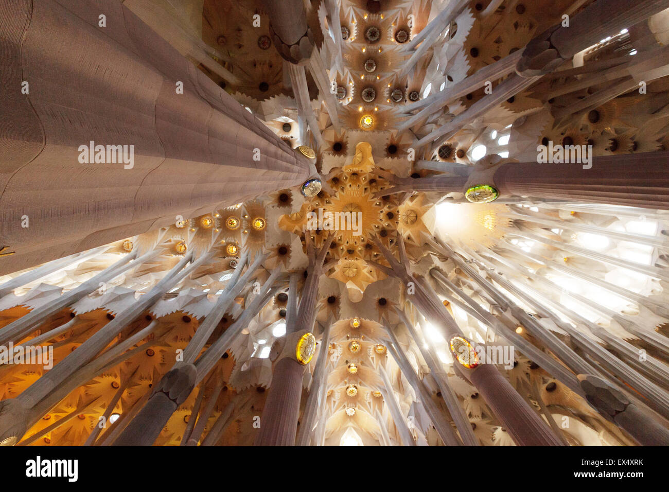 Il soffitto interno della cattedrale della Sagrada Familia di Antoni Gaudi, Barcelona, Spagna Europa Foto Stock
