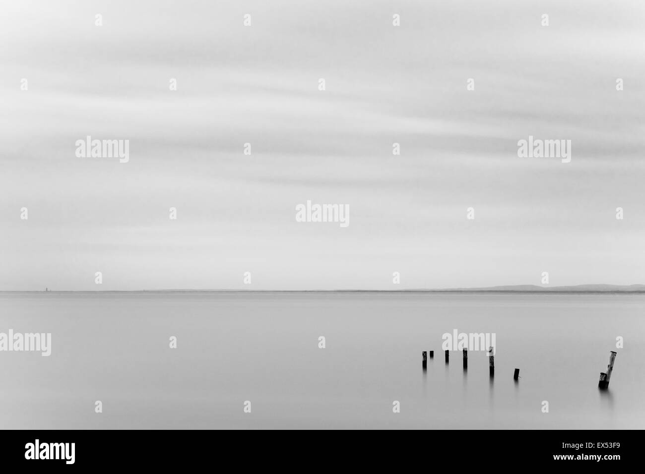 In bianco e nero lunga esposizione di pali di legno che conducono al mare. Prese a Steart paludi sul Canale di Bristol Foto Stock