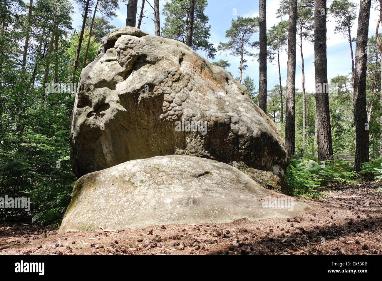 Bizzarre forme di arenaria macigno, bouldering, arrampicata, arrampicata su roccia, circuiti a Fontainebleau, Francia. Foto Stock