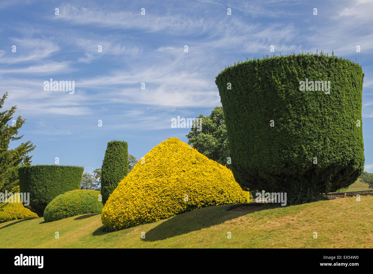 Buxus alberi tagliati in forme geometriche al Castello di Sudeley NEL REGNO UNITO Foto Stock