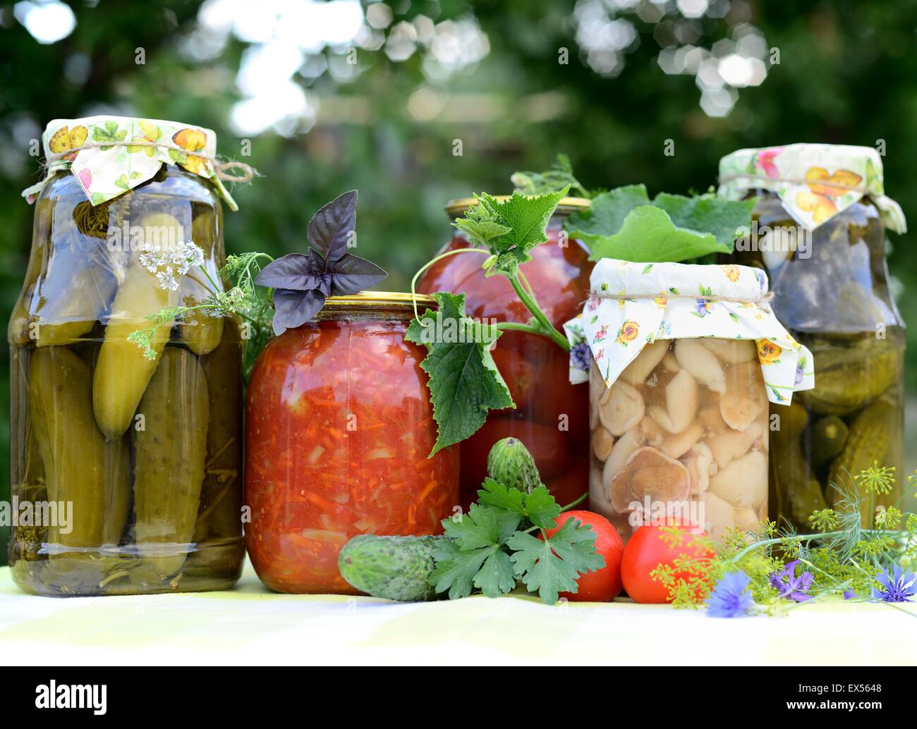 Conserve fatte in casa (cetrioli e pomodori, insalata di verdure, funghi) con giardino come sfondo. Foto Stock
