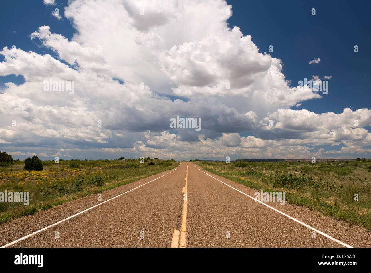 Route 102 nel Nuovo Messico Foto Stock
