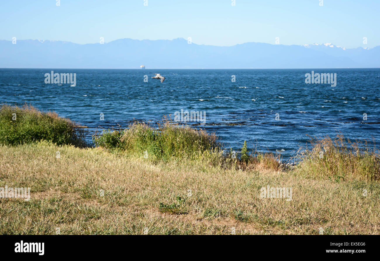 Guardando da Victoria, a.c. per stato di Washington oltre lo stretto di Juan de Fuca Foto Stock