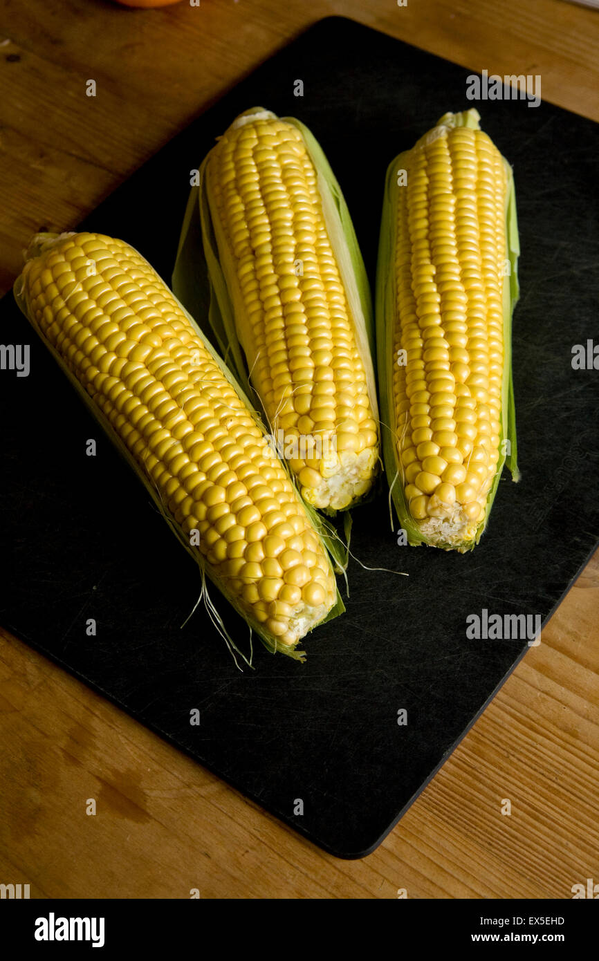 Tre nuovi sulla pannocchia di mais Foto Stock
