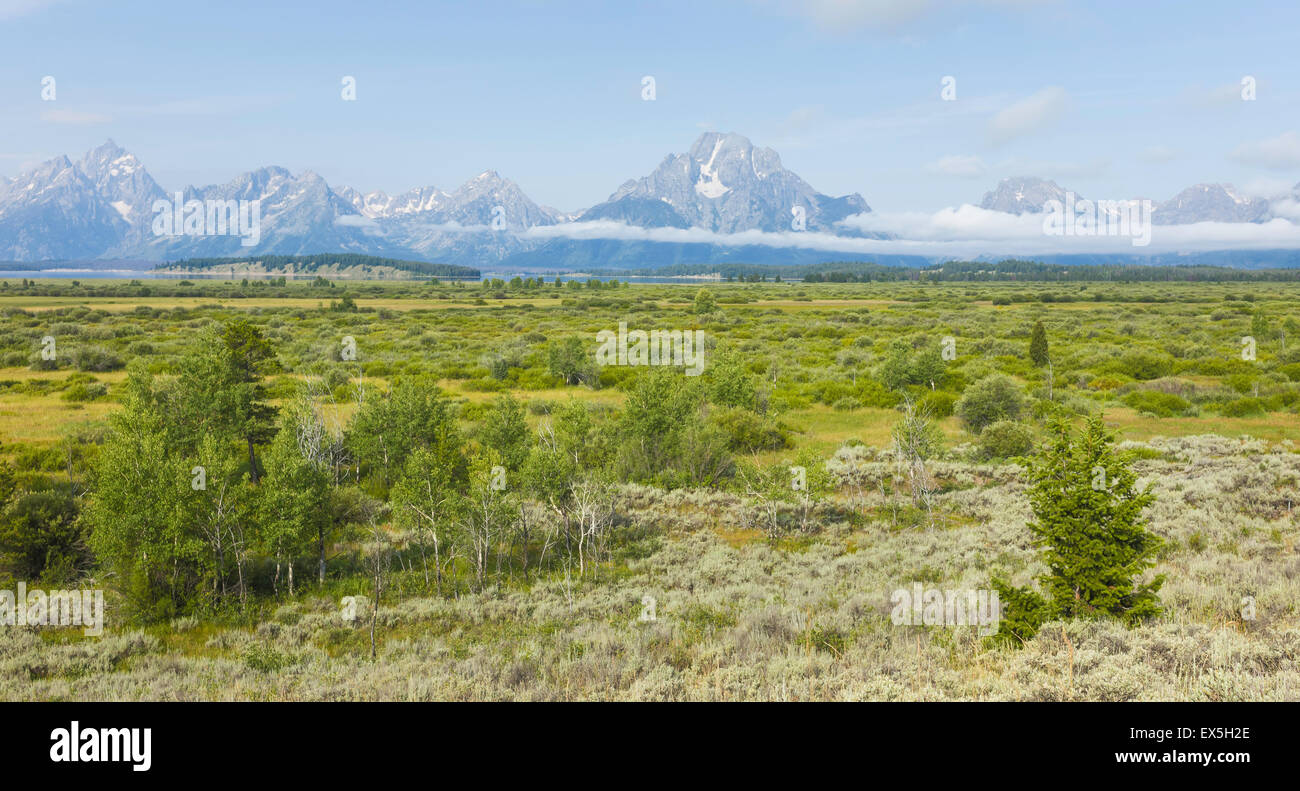 Vista panoramica del Grand Tetons mountain range come si vede attraverso la boccola di terra e le praterie. Foto Stock