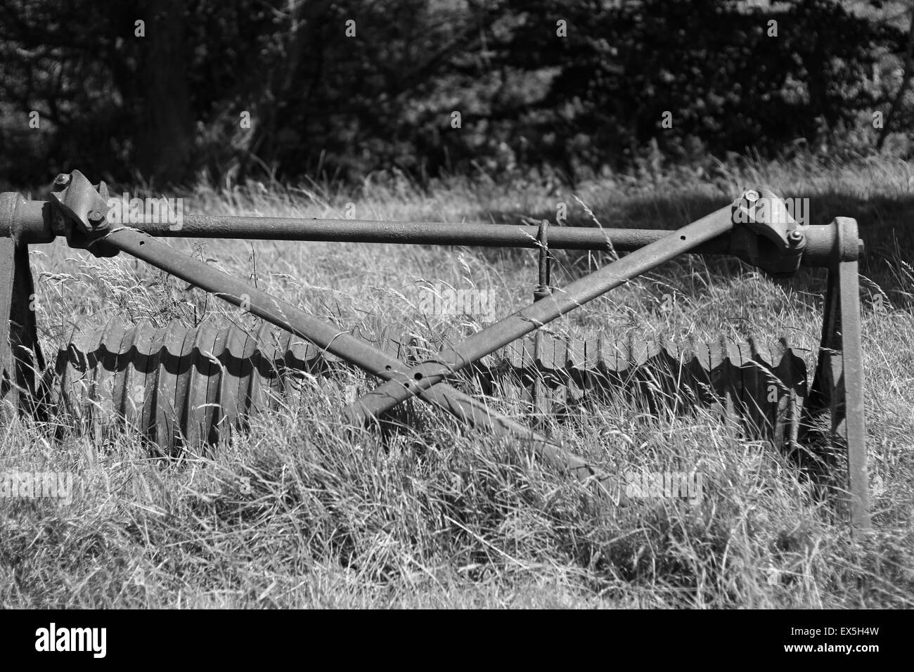 Vecchio abbandonato per le attrezzature agricole in bianco e nero Foto Stock