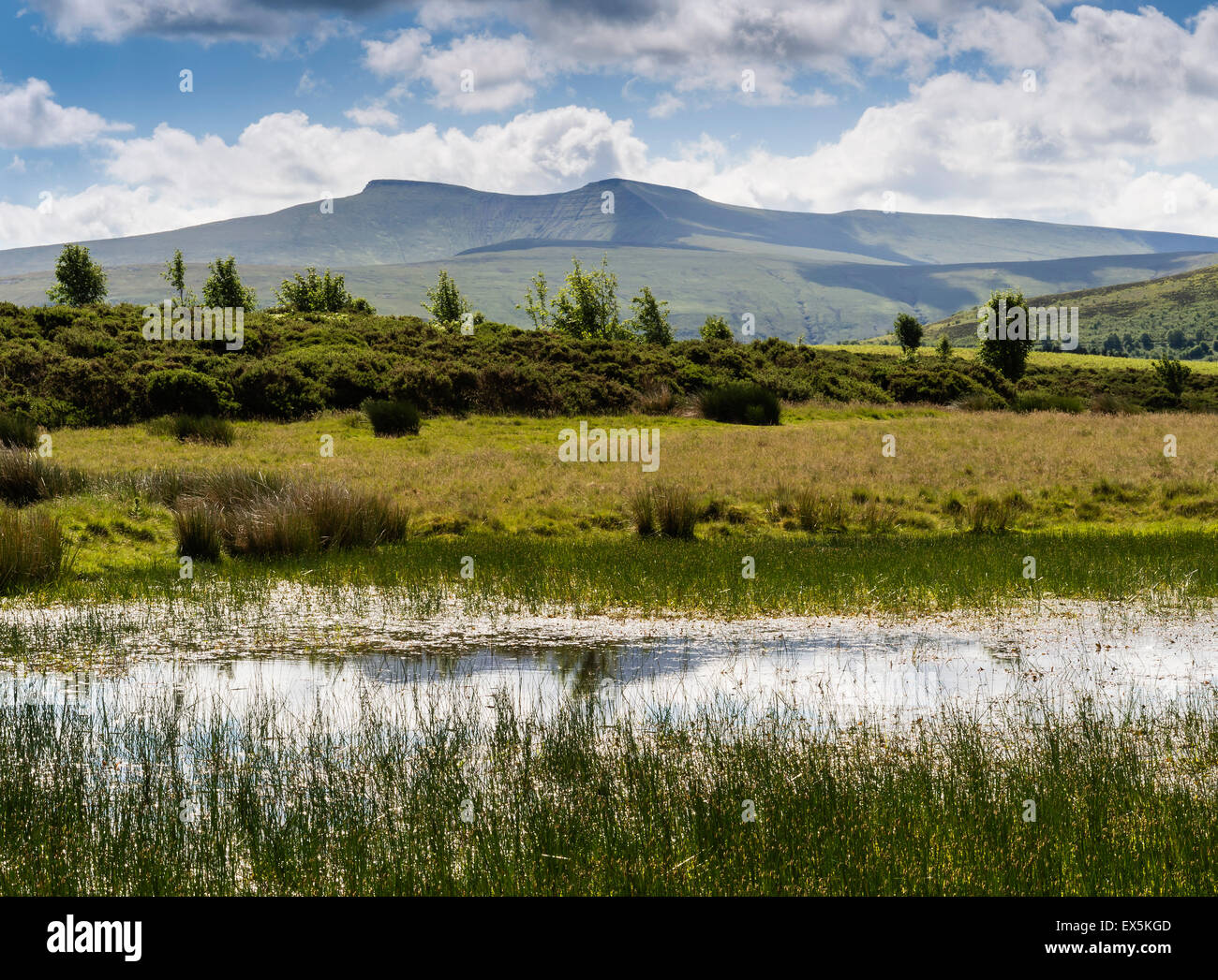 Pen y la ventola e il mais Du montagne del Parco Nazionale di Brecon Beacons, Powys, Wales, Regno Unito Foto Stock