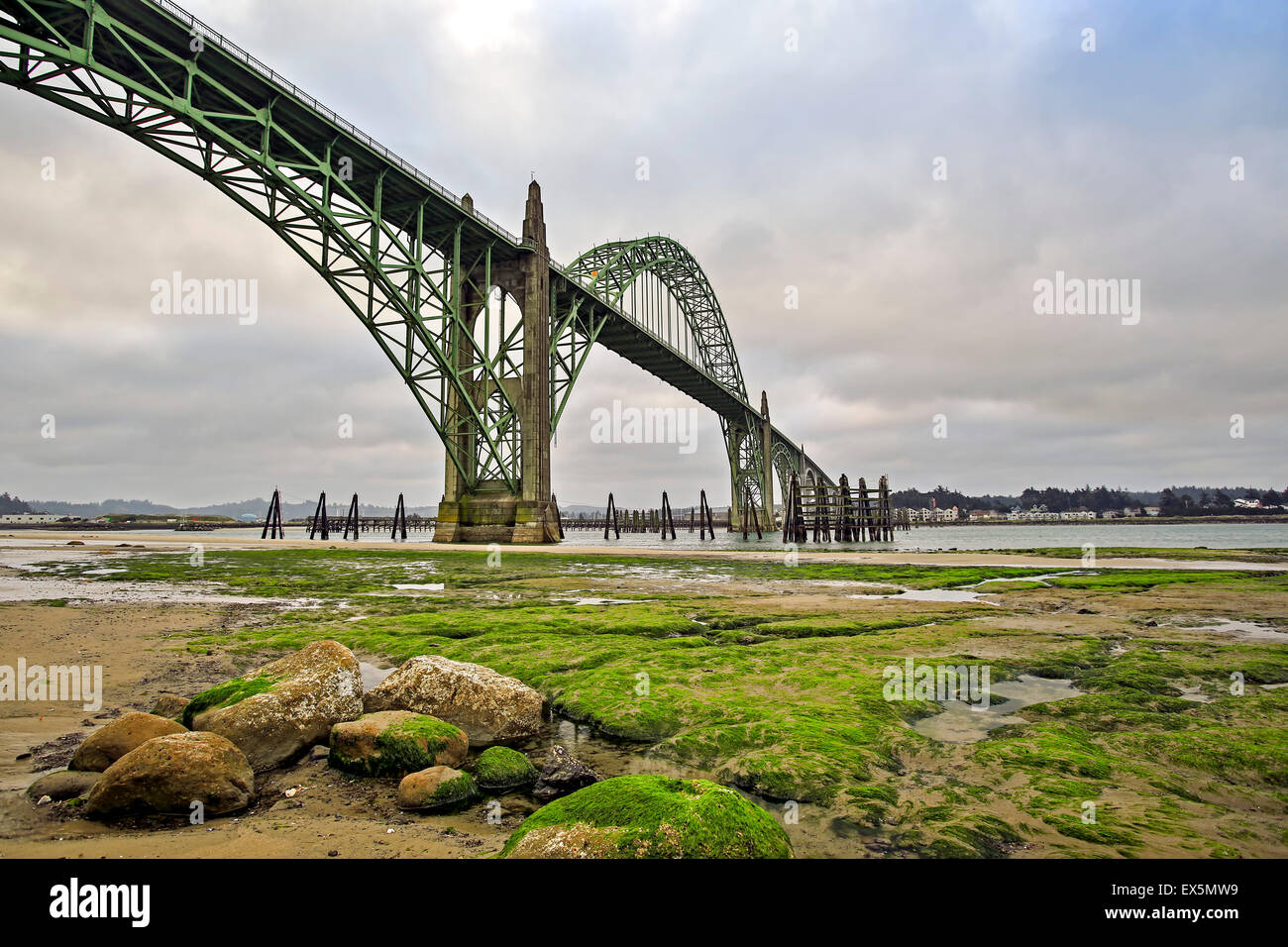 Rocce, MOSS e Yaquina Bay Bridge, Newport, Oregon, Stati Uniti d'America Foto Stock