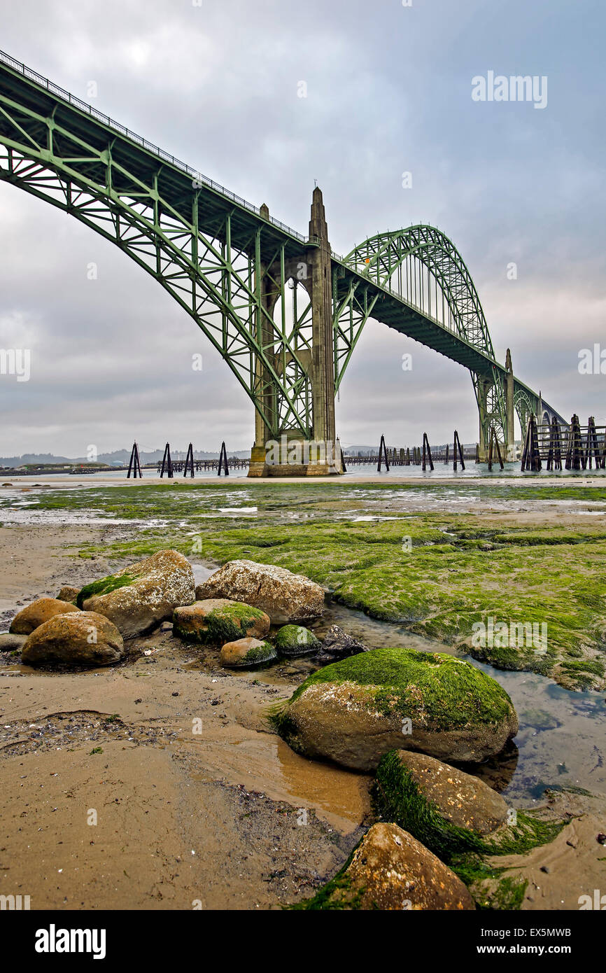 Rocce, MOSS e Yaquina Bay Bridge, Newport, Oregon, Stati Uniti d'America Foto Stock