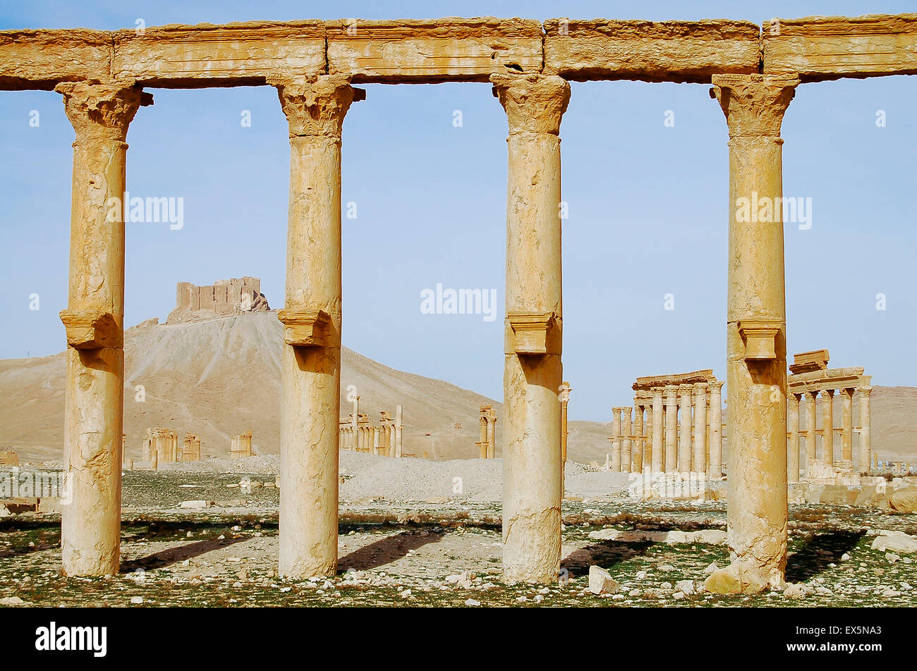 Rovine di Palmyra - Siria Foto Stock