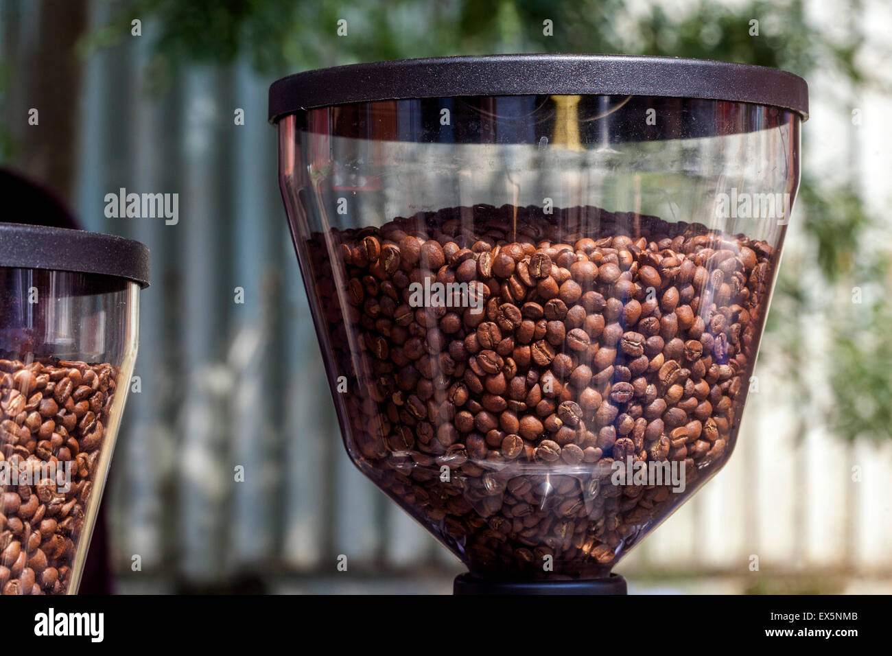 Macinino da caffè, caffè torrefatto in grani, serbatoio di fagiolo Foto Stock