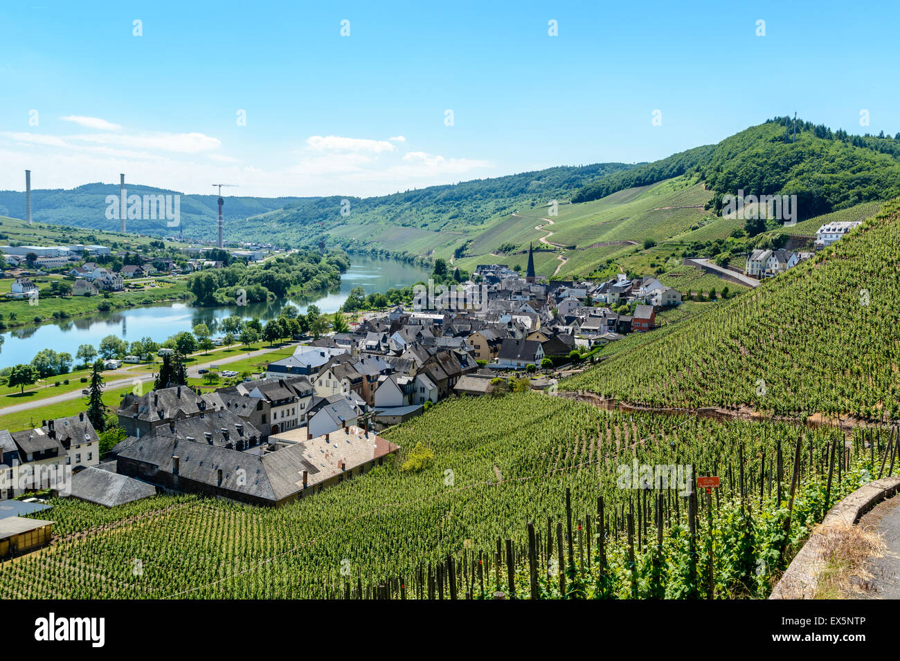 Urzig, Germania 5 Giugno 2015: Vino villaggio nella valle della Mosella Foto Stock