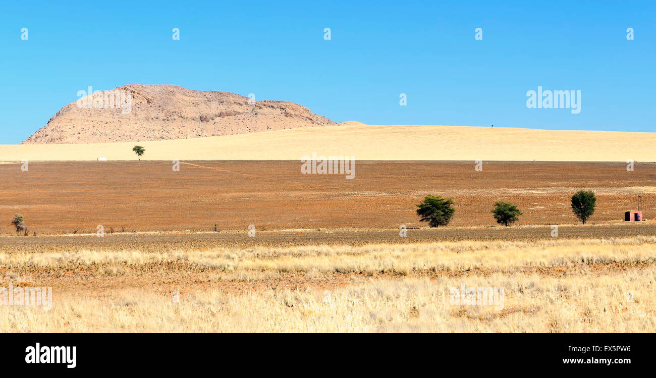 Paesaggio in il Namib-Naukluft National Park. Namib-Naukluft è un namibiano parco nazionale che racchiude parte del deserto del Namib. Foto Stock