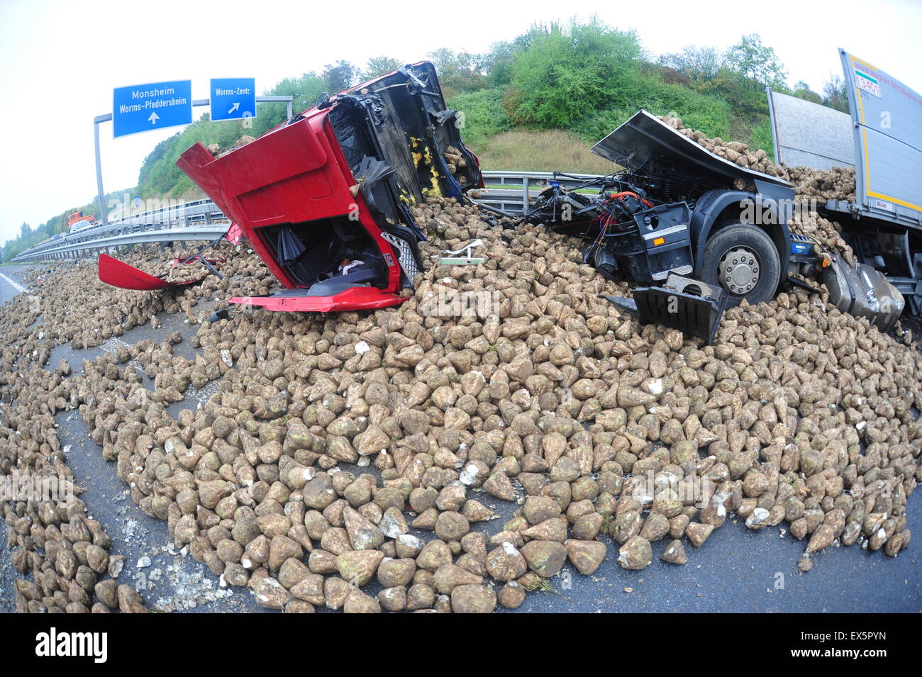 Worm, Germania - 16 settembre 2009 - Carrello crash tedesco su autostrada A61 nei pressi di Worms, distrutta dal suo carico navoni, nessun popolo h Foto Stock
