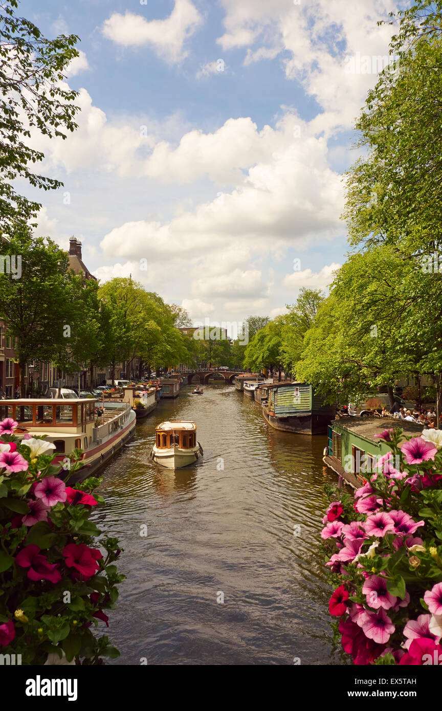 Case galleggianti e chiatte ormeggiate lungo un bellissimo viale alberato canale di Amsterdam nei Paesi Bassi, dell'UE. Foto Stock