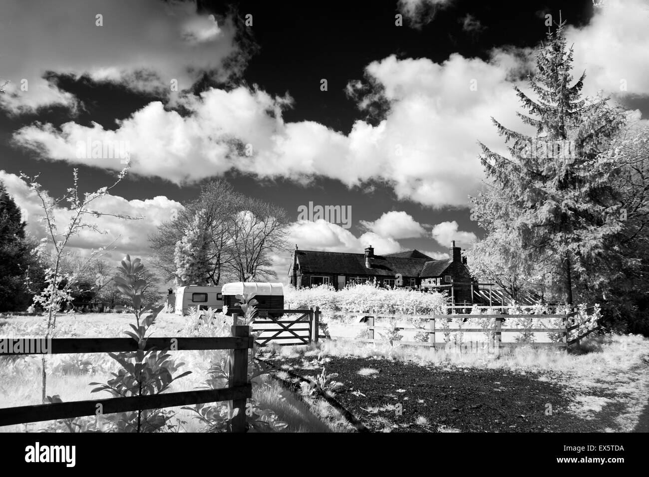 Fotografia in bianco e nero di Park Gate Inn in primavera su Cannock Chase AONB Area di eccezionale bellezza naturale in Staffordshire Foto Stock