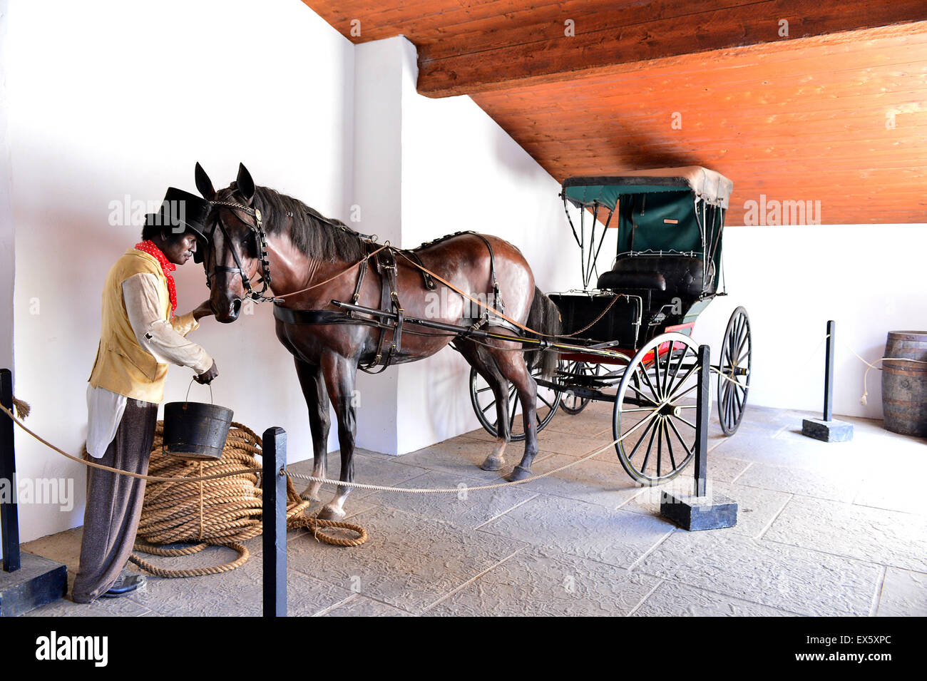 Xix secolo 4 ruote di incappucciati carro trainato da cavalli all'Ulster American Folk Park Foto Stock