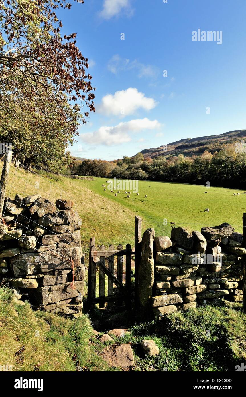 Il sentiero pedonale e cancello in Muker Swaledale North Yorkshire Foto Stock