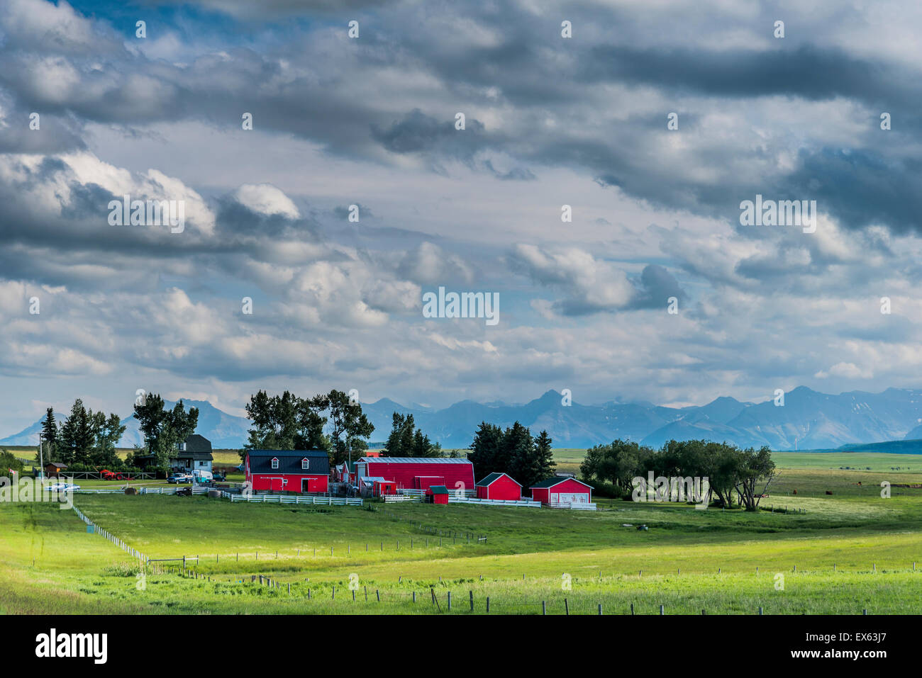Azienda agricola nella Pedemontana, dei rulli di estrazione Creek, Alberta, Canada Foto Stock