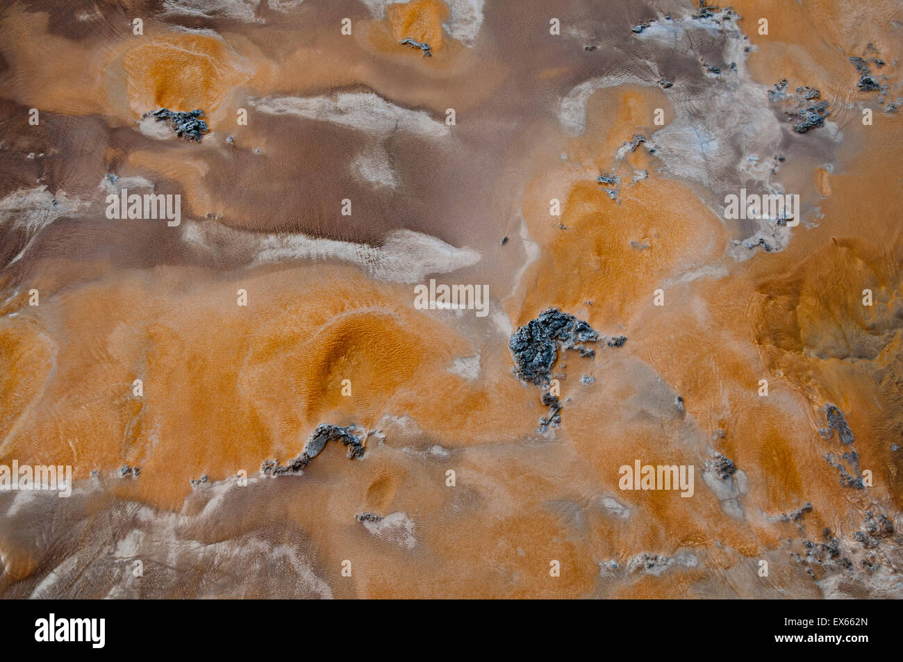 Tappetino di batteri termofili (microrganismi) in sorgenti calde nel Upper Geyser Basin nel Parco Nazionale di Yellowstone WY Foto Stock