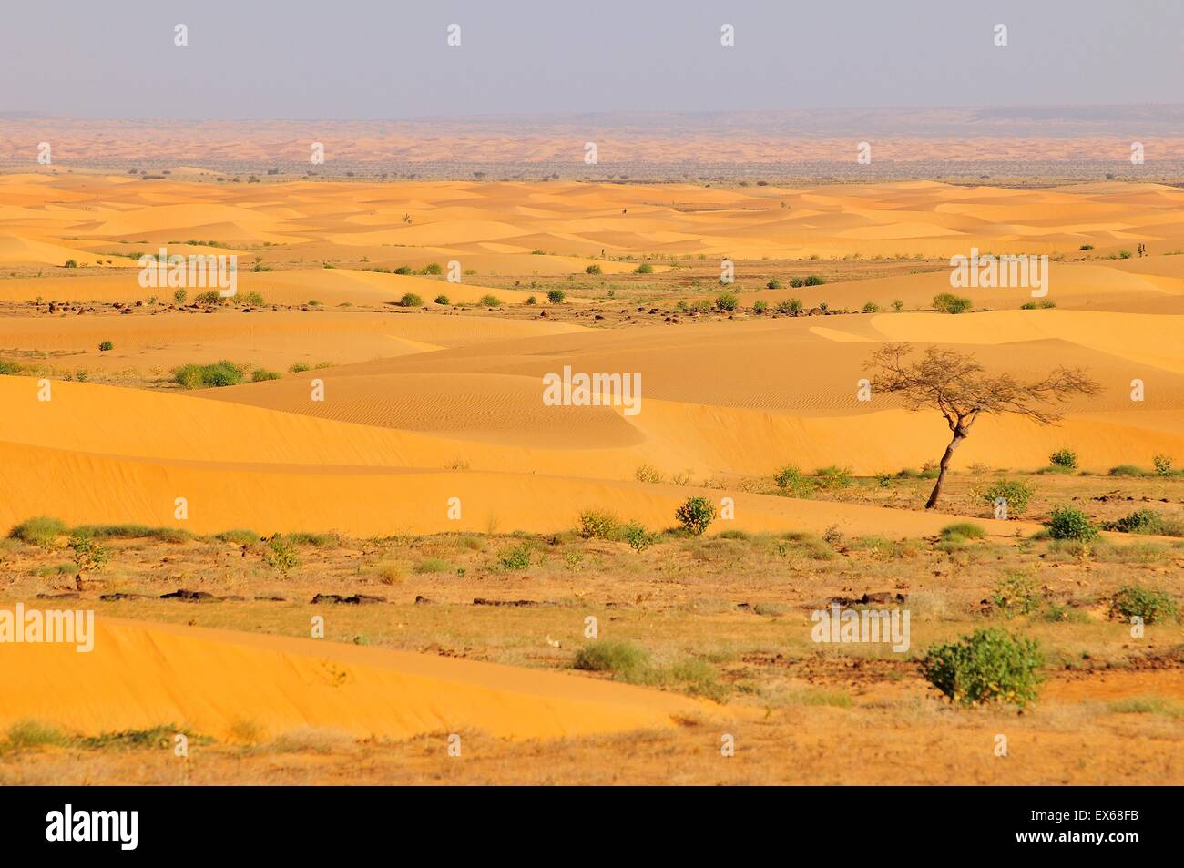 Il paesaggio del deserto con dune di sabbia, percorso da Atar a Tidjikja, regione di Adrar, Mauritania Foto Stock