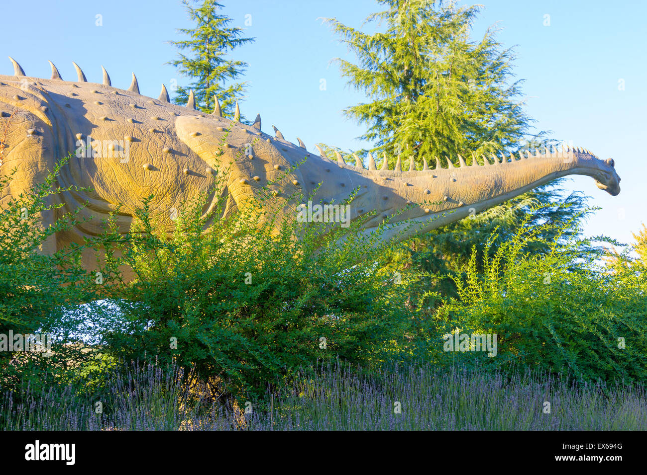 Tranquilla gigante dinosauro erbivori Diplodocus Foto Stock