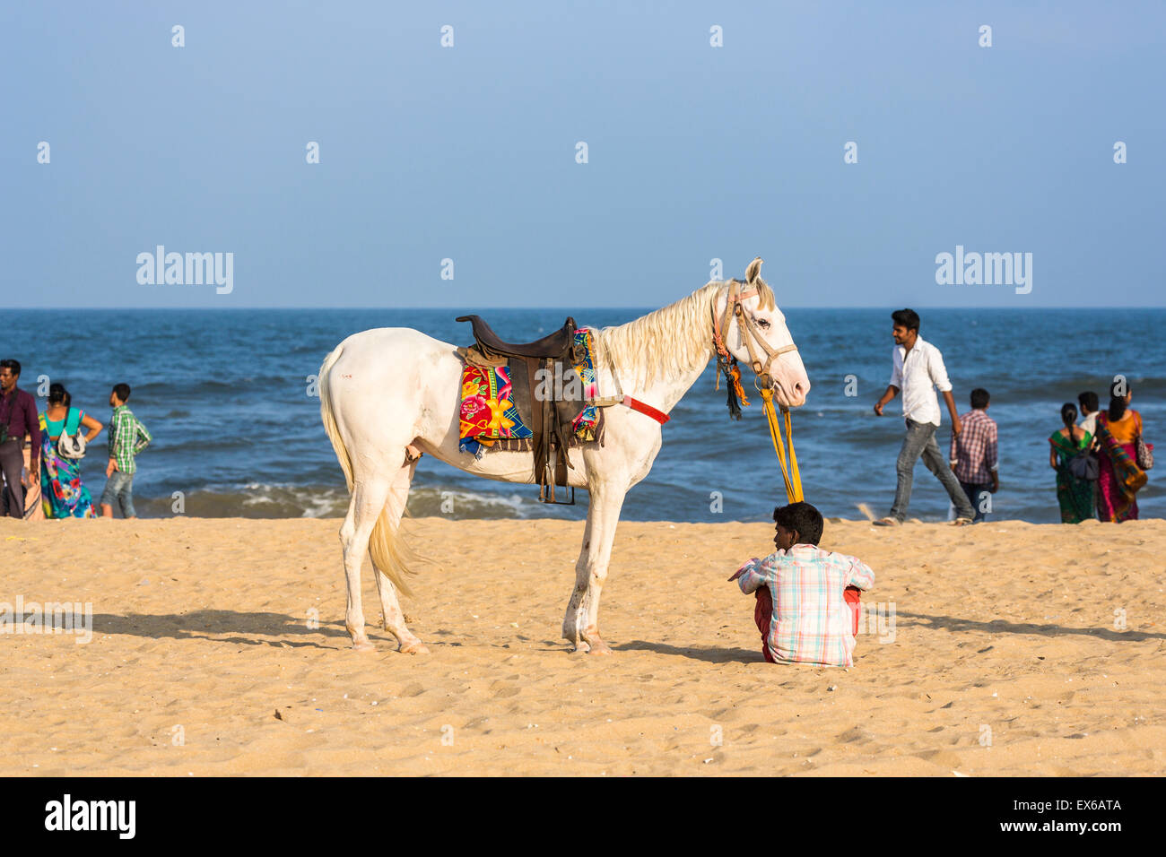 White Horse e proprietario in paziente attesa per i clienti di equitazione su Marina Beach, Chennai, nello Stato del Tamil Nadu, India del sud in una giornata di sole Foto Stock