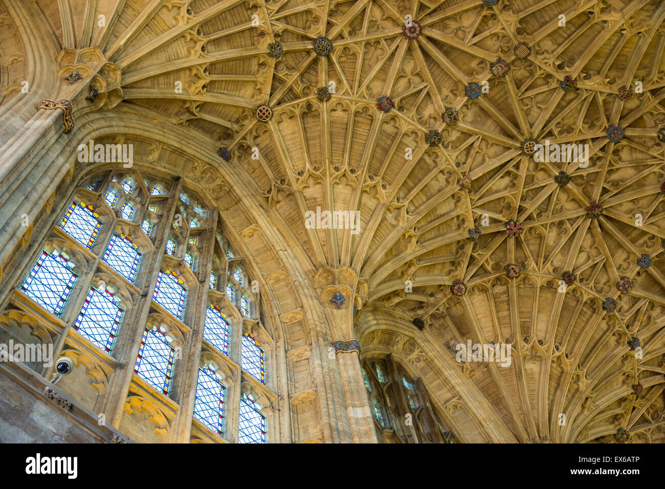 Bellissimi interni la finestra della chiesa e ventola vaulting dettagli architettonici sul soffitto del centro storico medievale di Sherborne Abbey e Sherborne, Dorset, Regno Unito Foto Stock