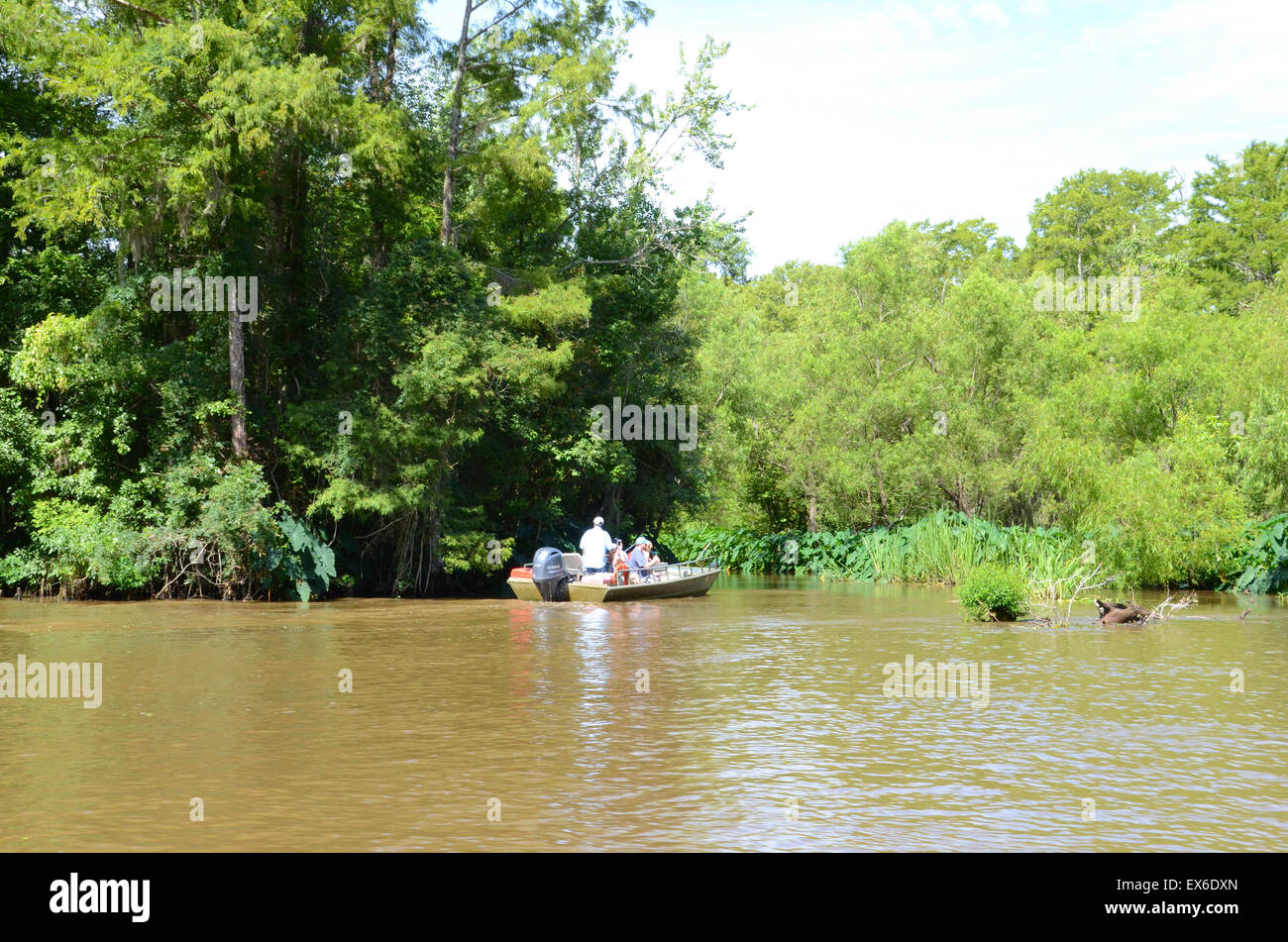 Pearl River tour di palude di new orleans Foto Stock