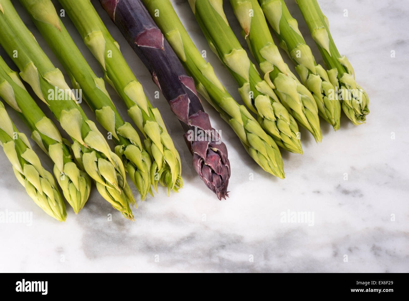 Il fogliame di Asparagus asparago verde e rosso e viola, Asparagus officinalis, spring molla verdure, ortaggi, piante, delicatamente s Foto Stock