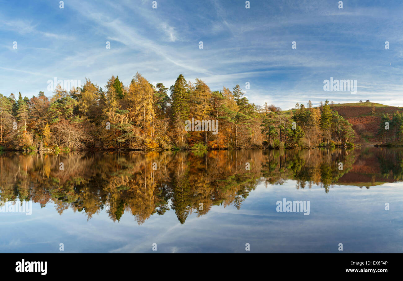 Tarn Hows autunno riflessioni Lake District, Cumbria Regno Unito Foto Stock