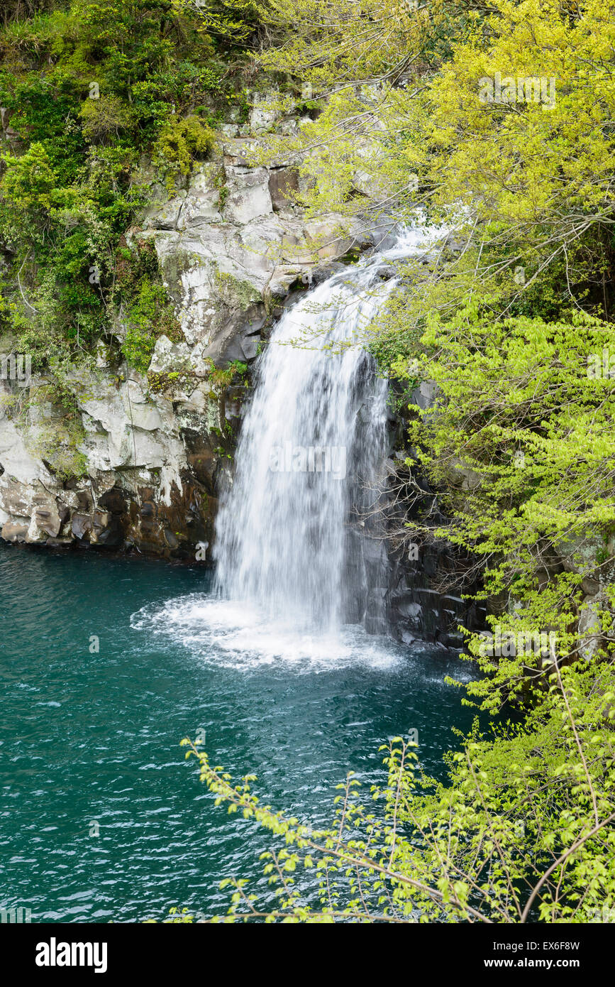 Cheonjeyeon n. 3 cascata. Cheonjeyoen cade (mezzi lo stagno di Dio) consiste di 3 cade. Una varietà di vita vegetale, inclusa Psilo Foto Stock