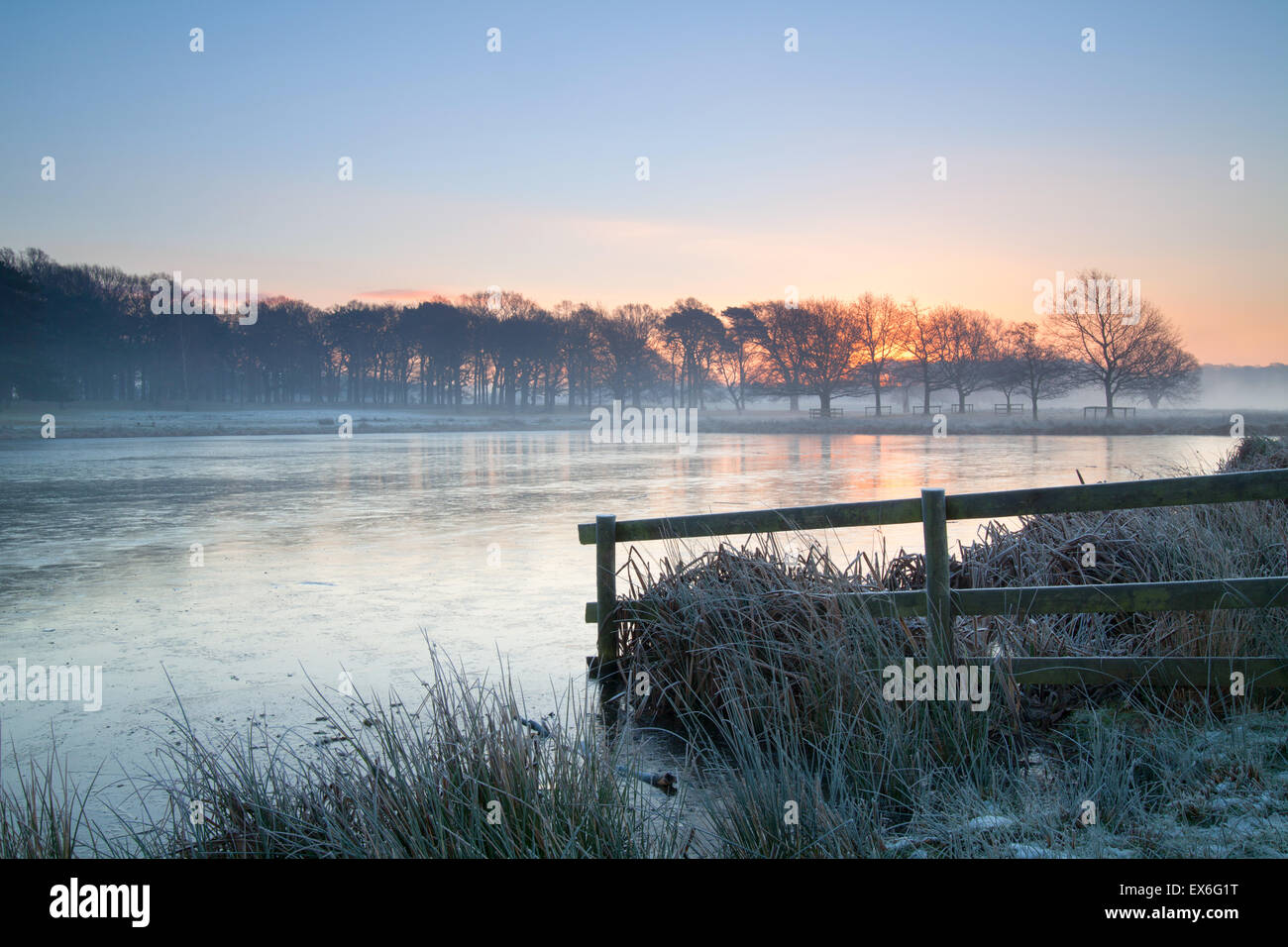 Recinzione al mero Tatton Park, knustford, Cheshire, frosty alba Foto Stock