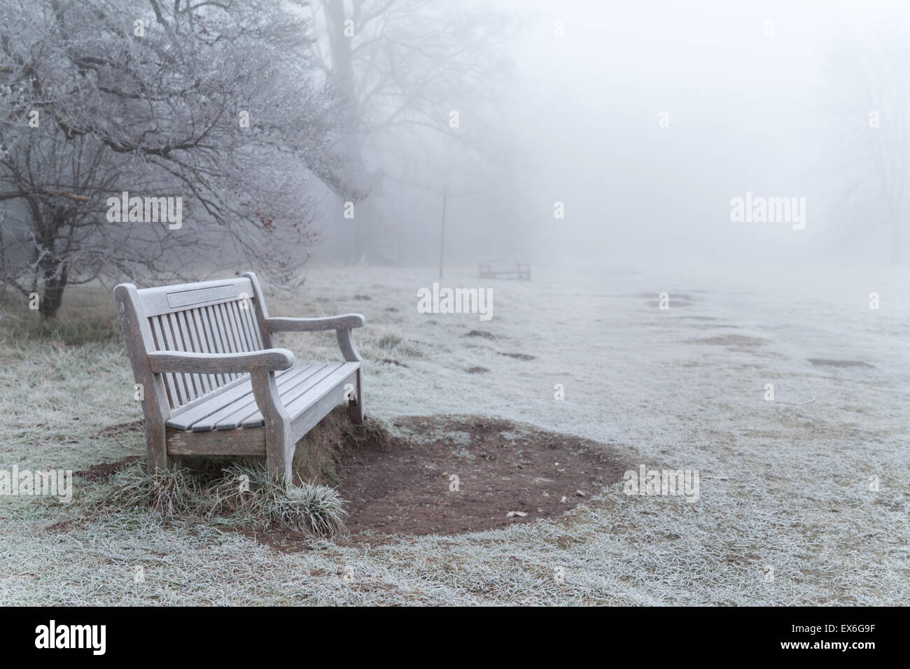 Banco di nebbia immagini e fotografie stock ad alta risoluzione - Alamy