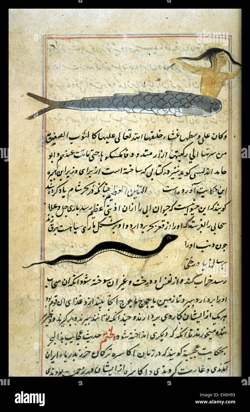 Nella parte superiore, una donna con capelli lunghi dietro una lunghissima di pesce e, al di sotto di un serpente. Da una copia di 'Aj?'ib al-makhl?q?t wa-ghar?'ib al-mawj?d?t (meraviglie delle cose create e miracolosa aspetti delle cose esistenti) da al-Qazw?n? (D. 1283/682). Né il co Foto Stock