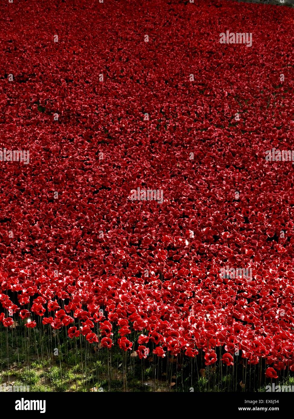 Installazione artistica intitolato " sangue spazzata di terre e mari di Rosso". Il fossato asciutto è stato riempito con 800.000 papaveri in ceramica per commemorare la Prima Guerra Mondiale centenario. Creato da un artista di ceramica Paolo Cummins e palcoscenico teatrale designer Tom Piper. Foto Stock