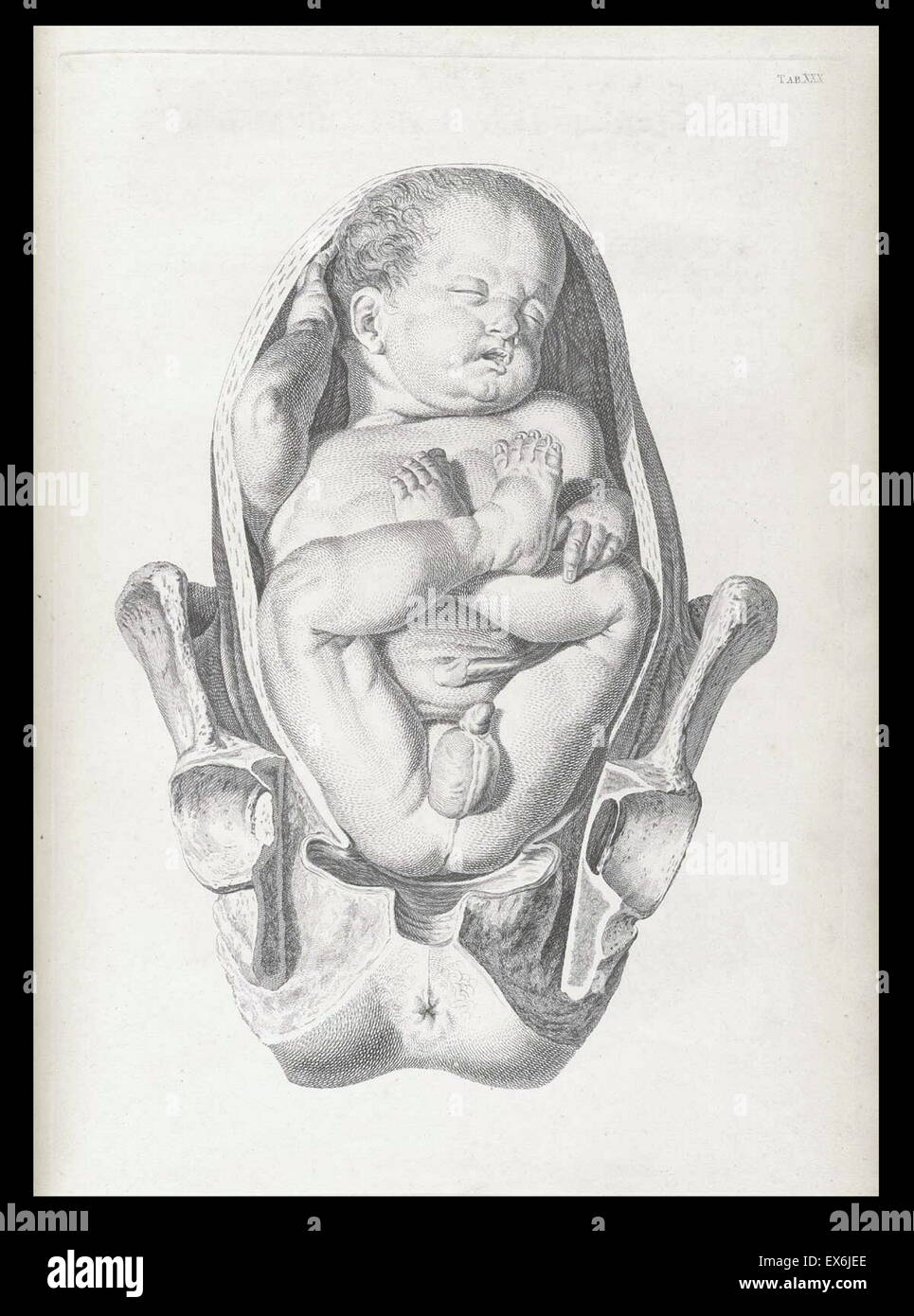 Illustrazione da 'Una sett di tavole anatomiche, con spiegazioni e un abridgment, della pratica di ostetricia". (Londra: 1754). Da William Smellie (1697 - 1763) un scozzese ostetrica Foto Stock