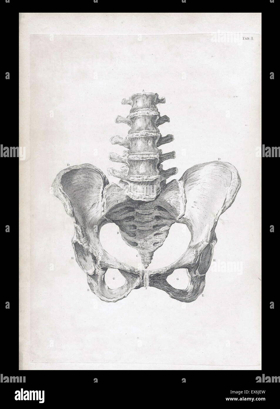 Illustrazione da 'Una sett di tavole anatomiche, con spiegazioni e un abridgment, della pratica di ostetricia". (Londra: 1754). Da William Smellie (1697 - 1763) un scozzese ostetrica Foto Stock
