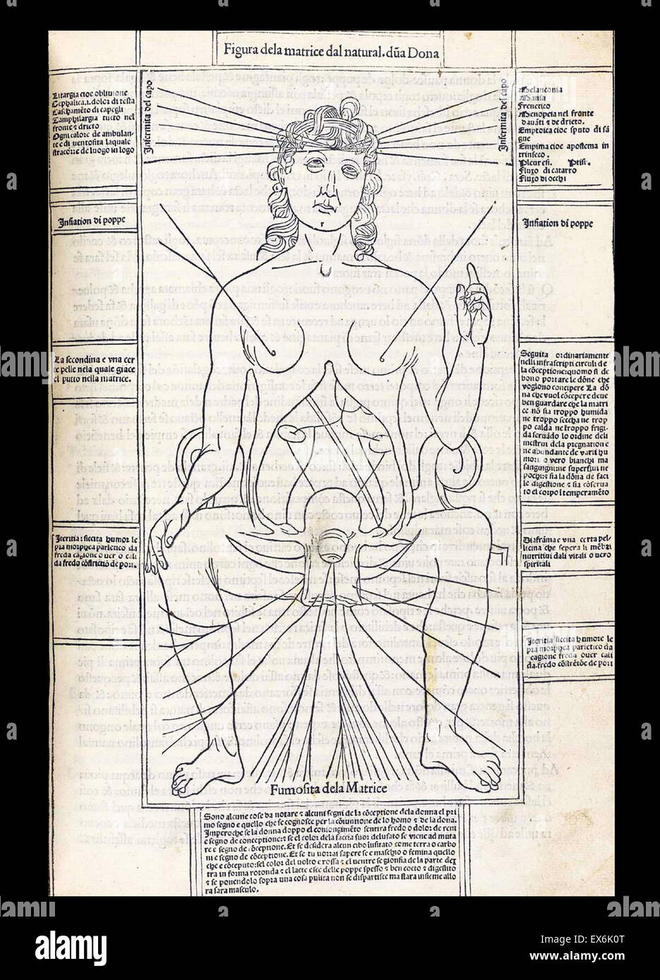 Illustrazione da 'Fasciculus medicinae' Venezia; 1494 il primo libro stampato a contenere tavole anatomiche. Scritto da Johannes de Ketham un medico tedesco che vive in Italia alla fine del XV secolo Foto Stock