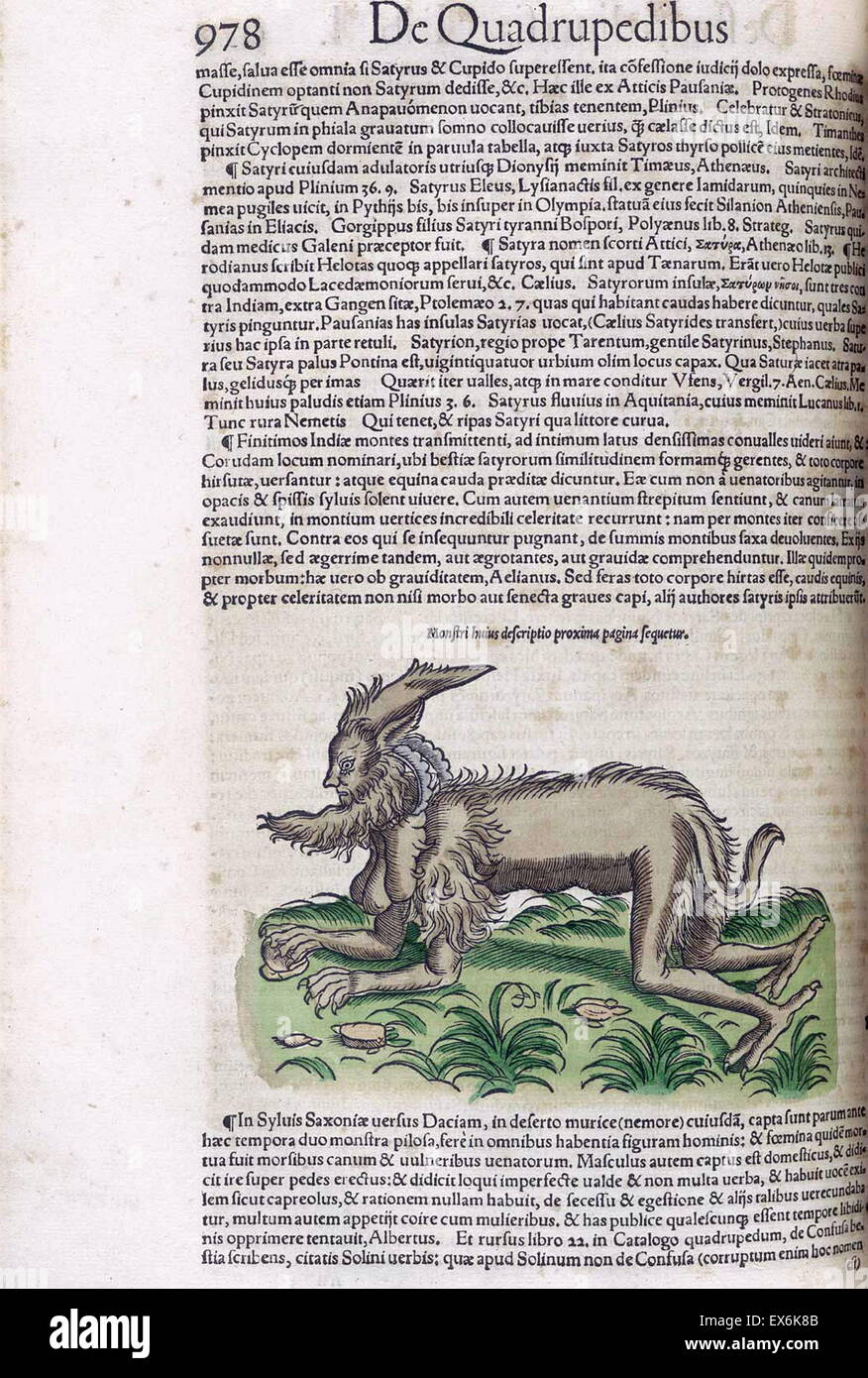 Illustrazione di un satiro o mezzo uomo mezzo bestia monster, dall'Medici Tigurini Historiae animalium' Historia animalium 1564; un veterinario libro anatomiche, da Conradi Gesneri 1516-1592 Foto Stock