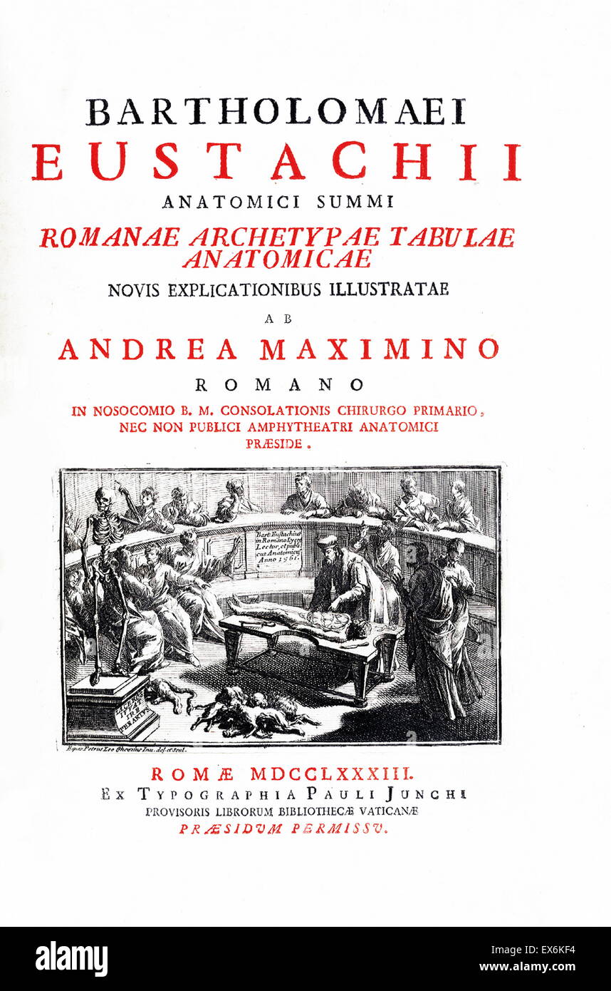 Illustrazione da "Tabulae anatomicae'. (Roma, 1783) di Bartolomeo Eustachi (1500 o 1514 - 27 agosto 1574), Eustachio), uno dei fondatori della scienza dell'anatomia umana. Foto Stock