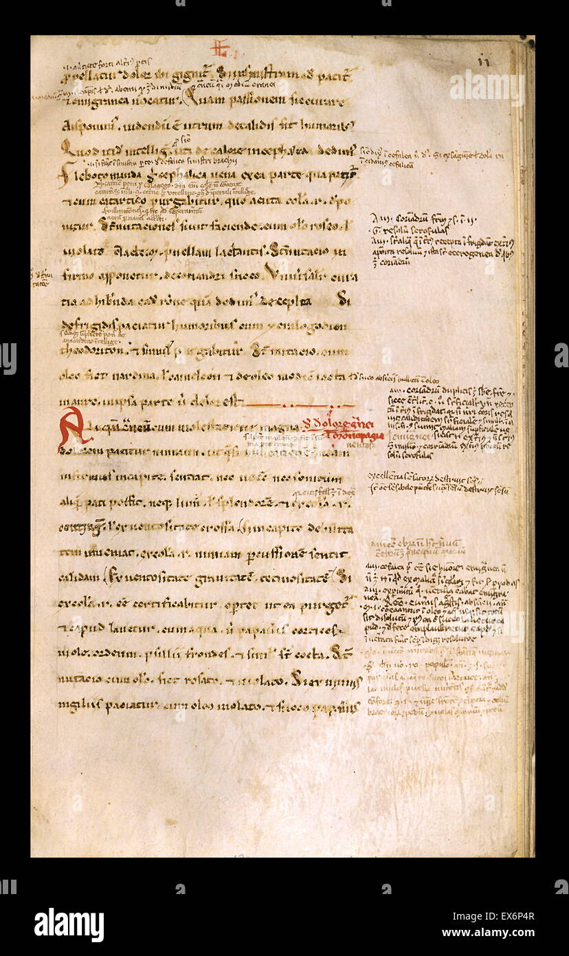 Costantino l Africano (ca. 1020-1087), De medicina physicae artis. Manoscritto E 12, f. 11 recto Foto Stock