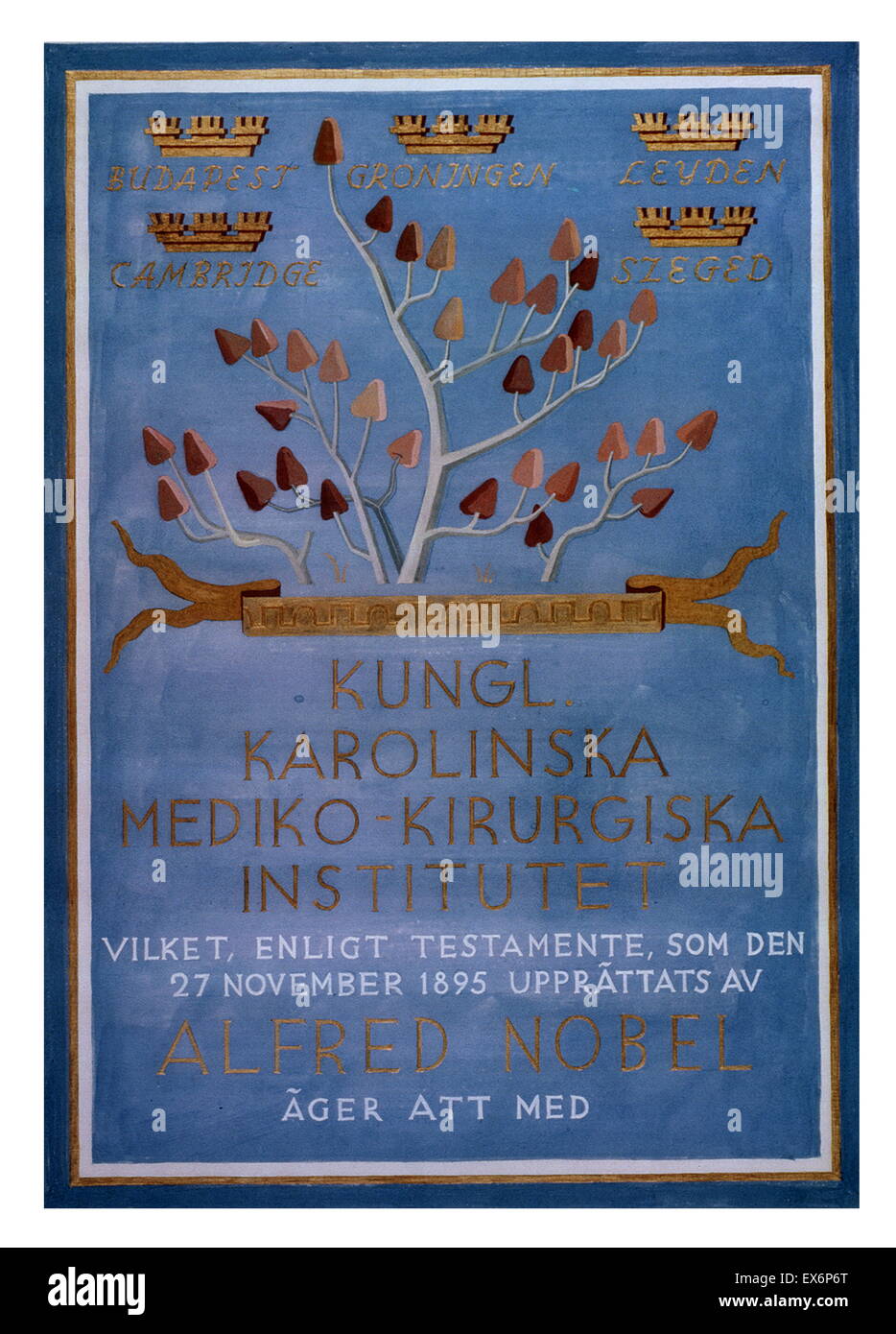 Albert Imre Szent-Gyorgyi (1893-1986), un ungherese-nato biochimico, fu il primo a isolare la vitamina C. Fotografia di Albert Szent-Gyorgyi il Premio Nobel diploma 1937 Foto Stock