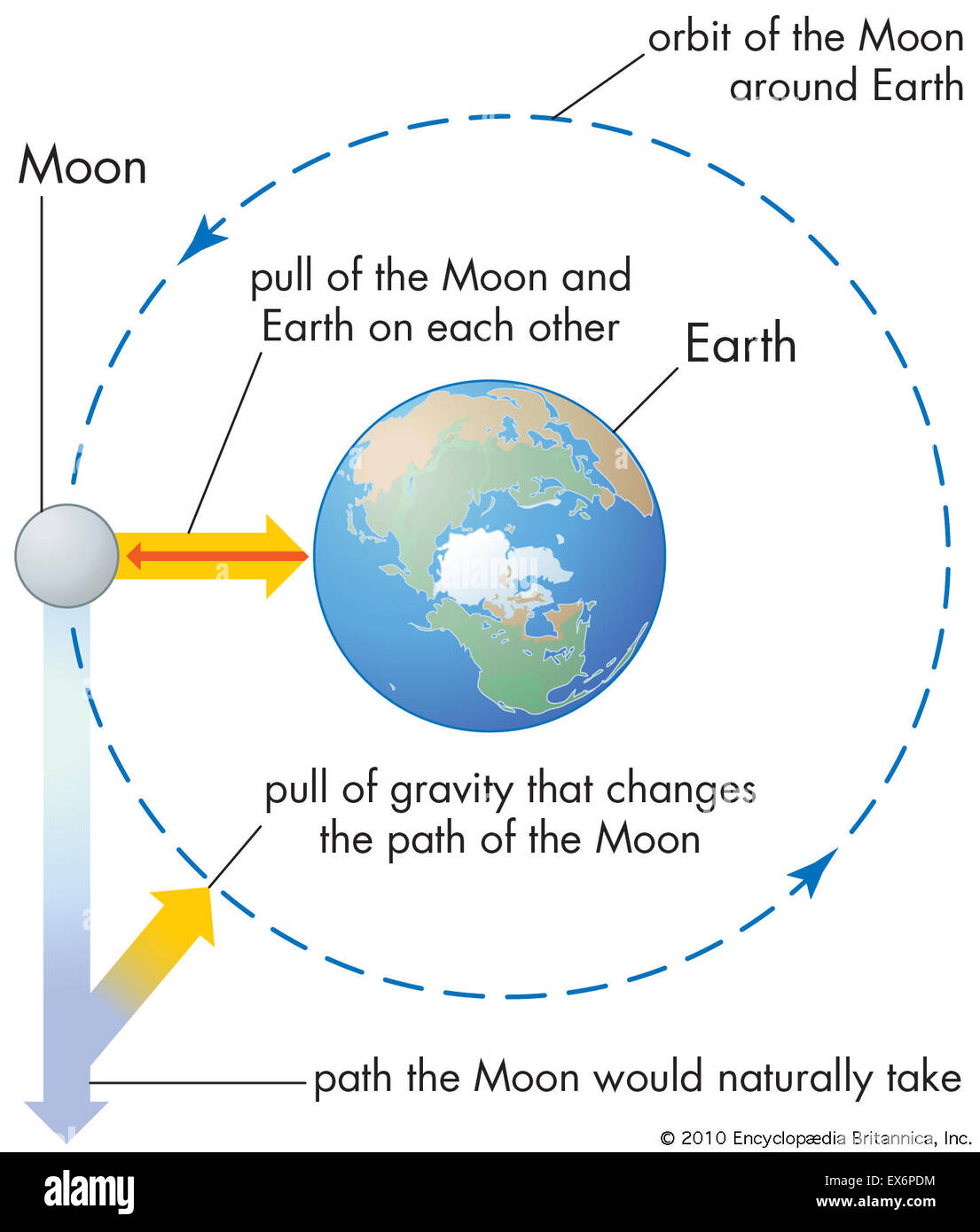 Effetti della forza di gravità sulla Luna e la messa a terra Foto Stock