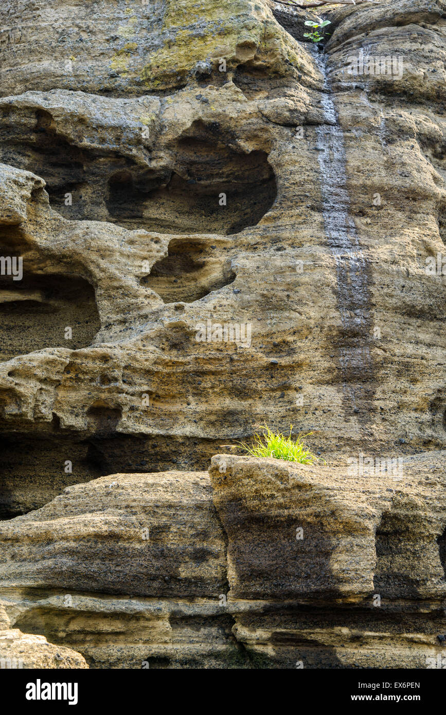Stratificato di multistory ruvido e strane rocce sedimentarie nella famosa località turistica della costa Yongmeori(testa di drago costa) in Jeju Island, Foto Stock