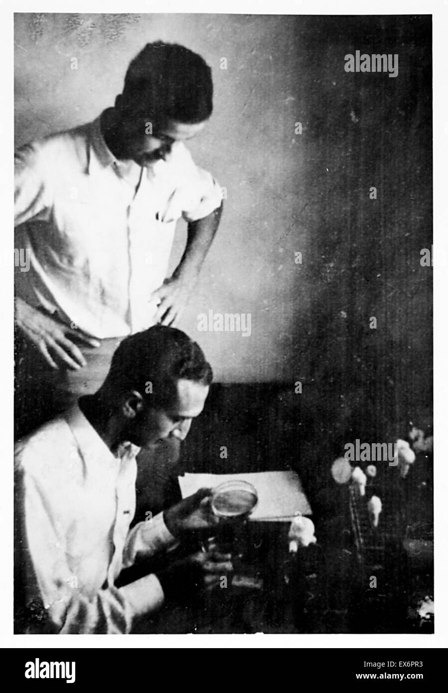 Max Delbruck e Salvador Luria a Cold Spring Harbor Laboratory 1941. Salvador Edward Luria (1912 - 1991) genetica italiana ricercatore e microbiologo, più tardi un naturalizzato cittadino americano. Ha vinto il Premio Nobel per la medicina e la fisiologia nel 1969 Foto Stock