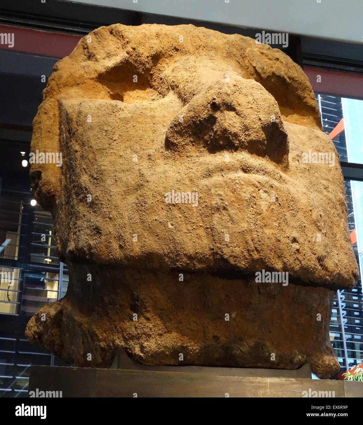 Grande testa di pietra di imao antenato dal Cook Bay, l'Isola di Pasqua. 1872 Foto Stock
